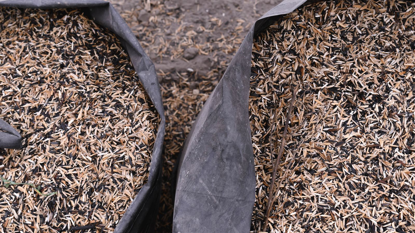 CT-BRK-25 — broken & fractions rice for export