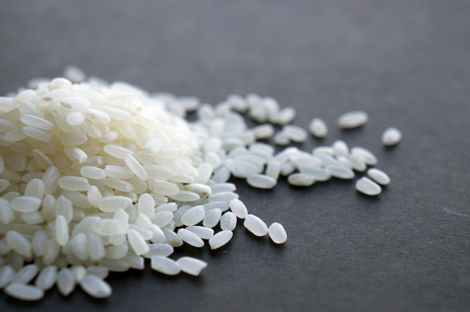 CT-INS-REL — programme lines rice for export
