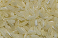CT-HSK-RAW — milled products rice for export