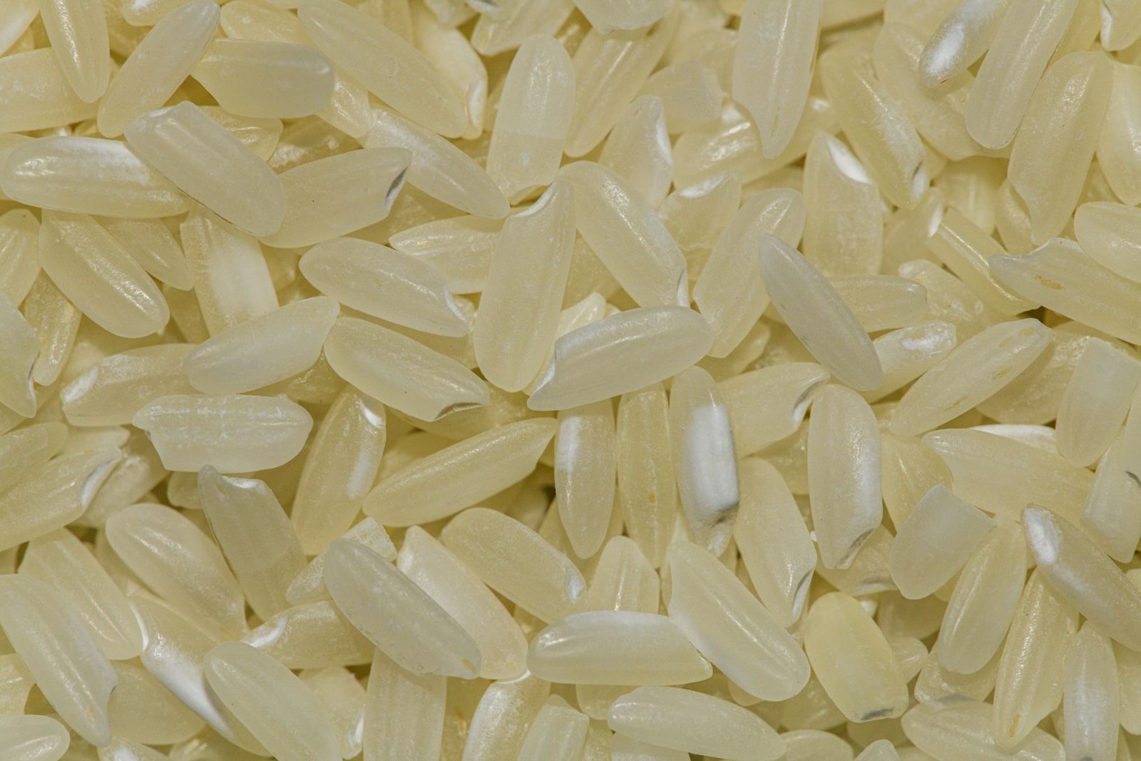 CT-HSK-RAW — milled products rice for export