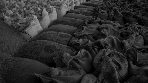 CT-LGW-15 — long grain white rice for export