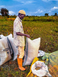 CT-BRK-PET — broken & fractions rice for export