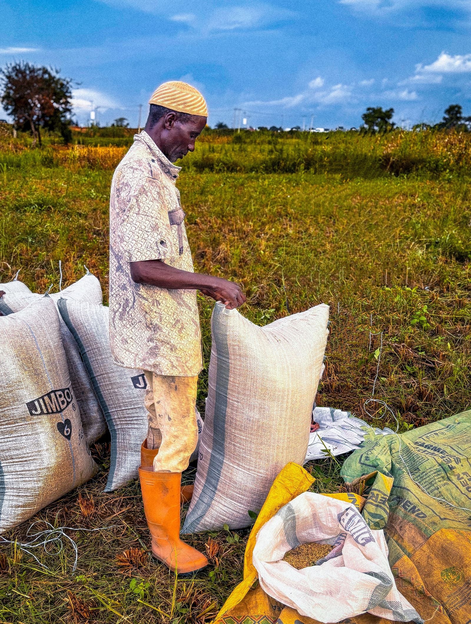 CT-BRK-PET — broken & fractions rice for export
