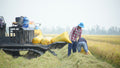 CT-PLB-RTL — programme lines rice for export