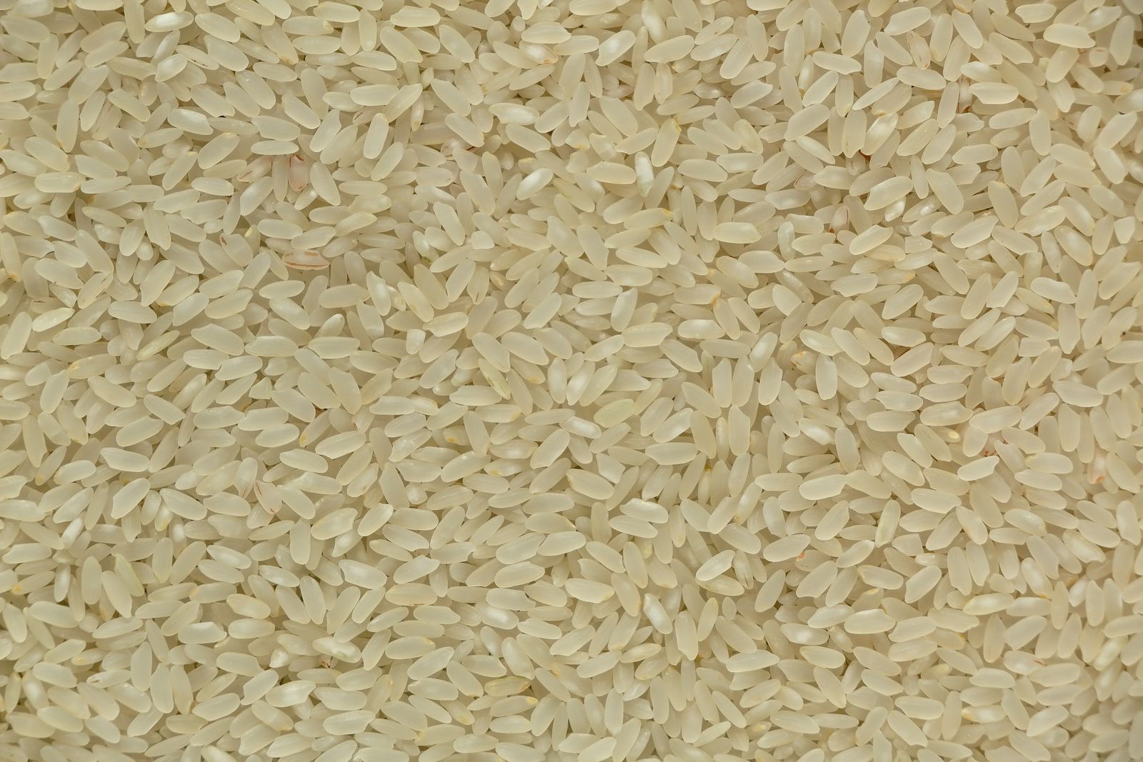 CT-PBL-25 — parboiled rice for export