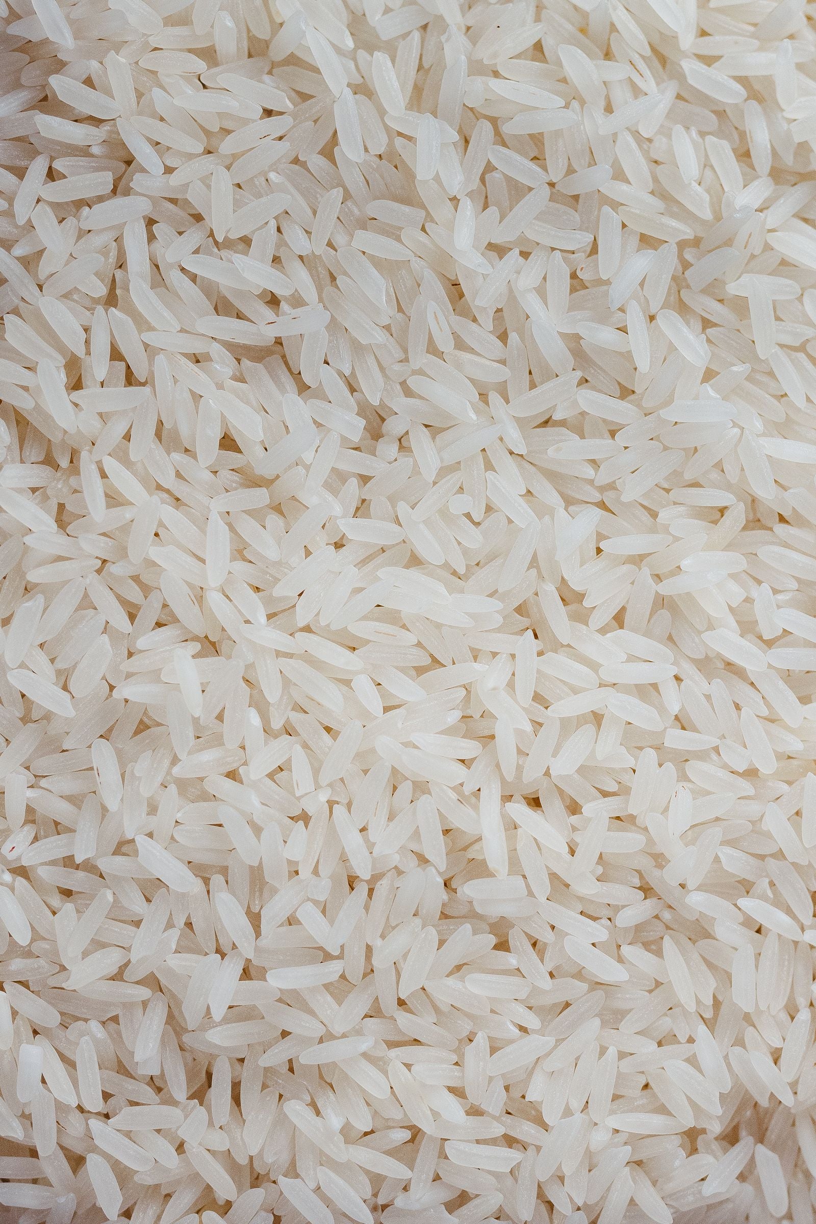 CT-BRW-BEE — broken & fractions rice for export