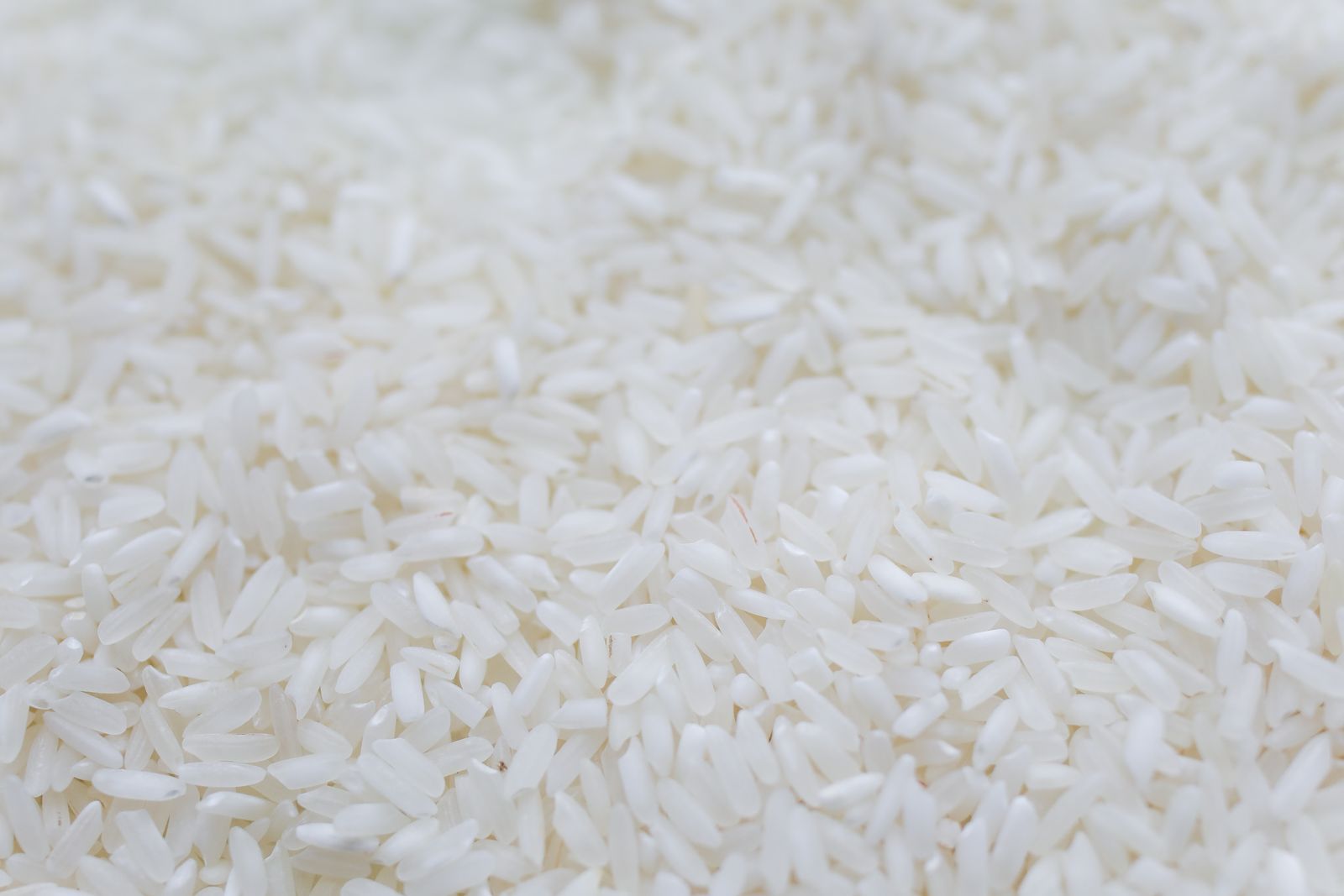 CT-LGW-4 — long grain white rice for export